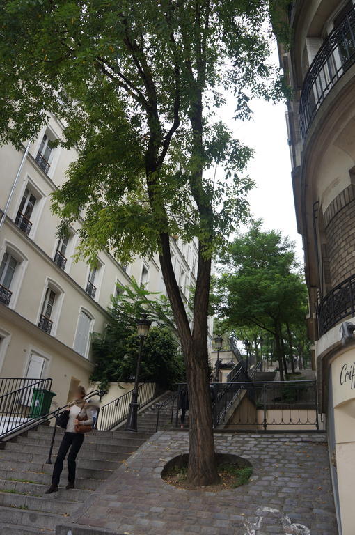 Studios De Charme A Montmartre París Exterior foto